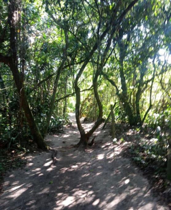 Casa Amarela Prumirim Ubatuba Esterno foto