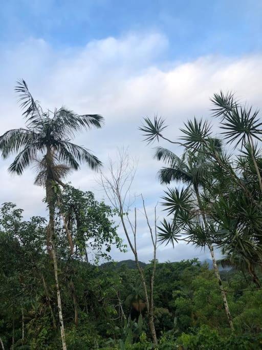 Casa Amarela Prumirim Ubatuba Esterno foto